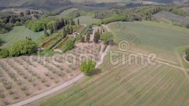 4夏季在意大利托斯卡纳拍摄葡萄园、田地和树木。